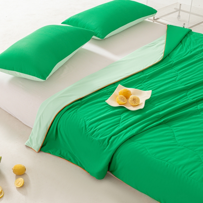 91家纺网 家纺一手货源 找家纺 佳居缘 2024新款西瓜冰柠被空调被夏被 西瓜绿