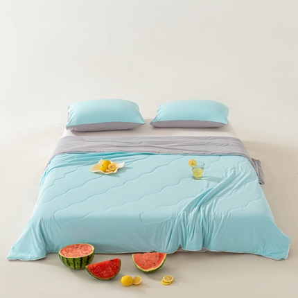 91家纺网 家纺一手货源 找家纺 佳居缘 2024新款西瓜冰柠被空调被夏被 天空蓝