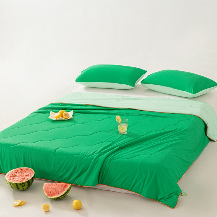91家纺网 家纺一手货源 找家纺 佳居缘 2024新款西瓜冰柠被空调被夏被 西瓜绿