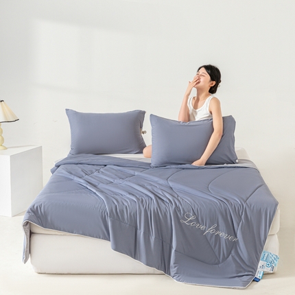 佳居缘 2024新款纯色绣花冰氨夏被 古典灰