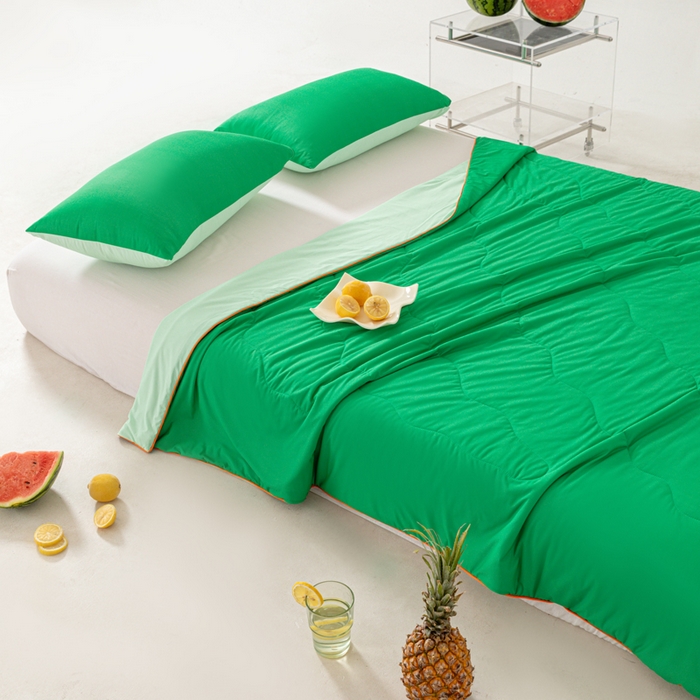 91家纺网 家纺一手货源 找家纺 佳居缘 2024新款西瓜冰柠被空调被夏被 西瓜绿