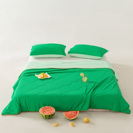 91家纺网 家纺一手货源 找家纺 佳居缘 2024新款西瓜冰柠被空调被夏被 西瓜绿