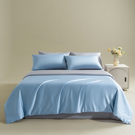 Mr.pig猪先生水洗棉 2024新款60天丝莱赛尔纤维四件套 双拼伊莲青+气质灰