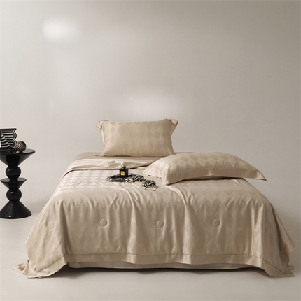 91家纺网 家纺一手货源 找家纺 头等舱 2025新款双A类抗菌100S莱赛尔大提花大豆夏被 格调-奶茶色