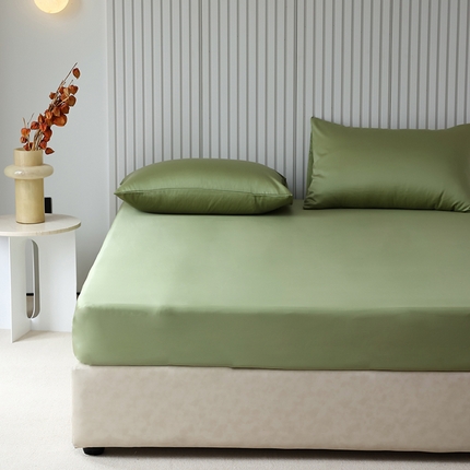 Mr.pig猪先生水洗棉 2024新款60天丝莱赛尔纤维四件套系列-单床笠 青频绿