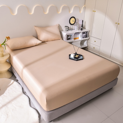 91家纺网 家纺一手货源 找家纺 简爱家纺 2025新款水洗真丝床笠单品床垫保护套床罩 奶茶咖