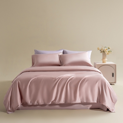 Mr.pig猪先生水洗棉 2024新款60天丝莱赛尔纤维四件套 焦糖奶