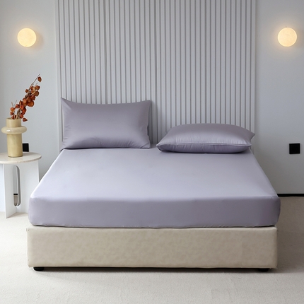 Mr.pig猪先生水洗棉 2024新款60天丝莱赛尔纤维四件套系列-单床笠 气质灰