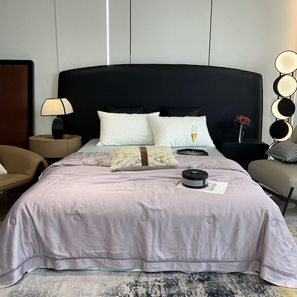 91家纺网 家纺一手货源 找家纺 （总）莱豫家纺  2024新款60天丝提花夏凉被夏被空调被