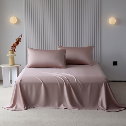 Mr.pig猪先生水洗棉 2024新款60天丝莱赛尔纤维四件套系列-单床单 焦糖奶