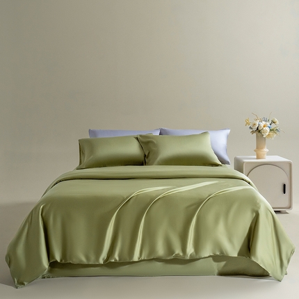 Mr.pig猪先生水洗棉 2024新款60天丝莱赛尔纤维四件套 青频绿