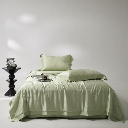 91家纺网 家纺一手货源 找家纺 （总）头等舱 2025新款双A类抗菌100S莱赛尔大提花55%大豆夏被（配包装）