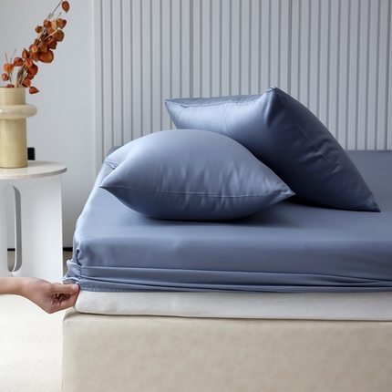 Mr.pig猪先生水洗棉 2024新款60天丝莱赛尔纤维四件套系列-单枕套 中兰