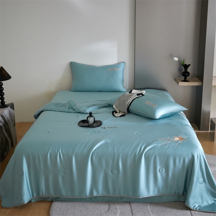 91家纺网 家纺一手货源 找家纺 （总）头等舱 新款奥地利A类60S兰精天丝55%大豆抗菌夏被（配包装）