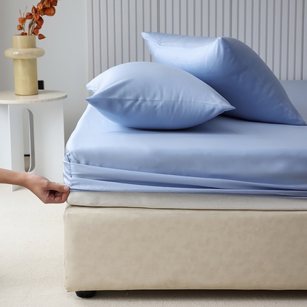 Mr.pig猪先生水洗棉 2024新款60天丝莱赛尔纤维四件套系列-单枕套 伊连青