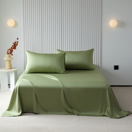 Mr.pig猪先生水洗棉 2024新款60天丝莱赛尔纤维四件套系列-单床单 青频绿