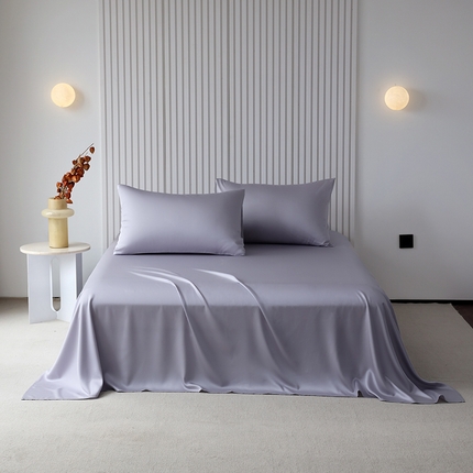 Mr.pig猪先生水洗棉 2024新款60天丝莱赛尔纤维四件套系列-单床单 气质灰