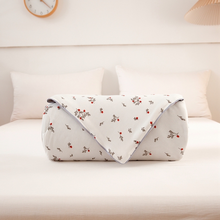 91家纺网 家纺一手货源 找家纺 啊雅家居 2025新款A类针织棉云柔大豆被抗菌被子被芯  小红果