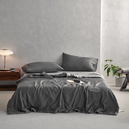 91家纺网 家纺一手货源 找家纺 （总）丽笙 2024新款A类兰精天丝素色刺绣夏被被子被芯