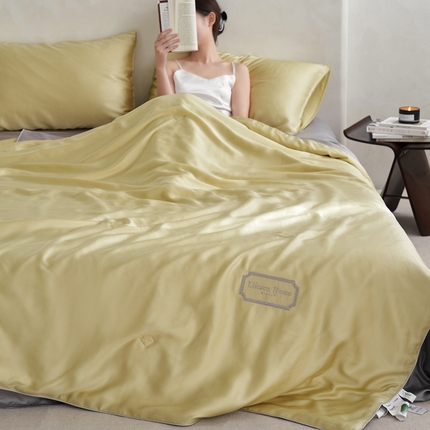 丽笙 2024新款A类兰精天丝素色刺绣夏被被子被芯 莫兰迪象牙色
