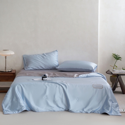 91家纺网 家纺一手货源 找家纺 （总）丽笙 2024新款A类兰精天丝素色刺绣夏被被子被芯