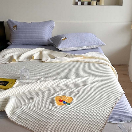 91家纺网 家纺一手货源 找家纺 （总）柚子YOUTH 2024新款双面华夫格盖毯空调毯