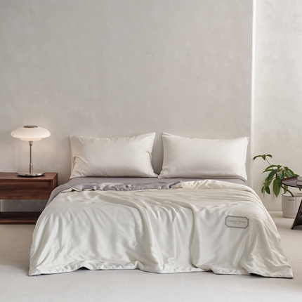 91家纺网 家纺一手货源 找家纺 （总）丽笙 2024新款A类兰精天丝素色刺绣夏被被子被芯