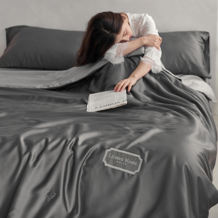 丽笙 2024新款A类兰精天丝素色刺绣夏被被子被芯 炫彩色深玄灰