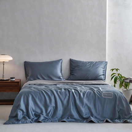 91家纺网 家纺一手货源 找家纺 （总）丽笙 2024新款A类兰精天丝素色刺绣夏被被子被芯