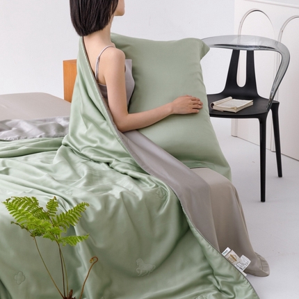 CINNY馨宜 2025新款60莱赛尔大豆纤维 撞色夏被（伯爵） 浅松绿