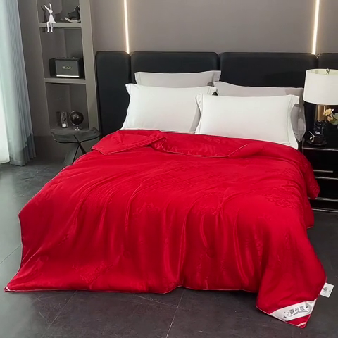 91家纺网 家纺一手货源 找家纺 恒鑫家纺 2025新款提花蚕丝夏凉被被子被芯 中国红