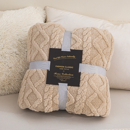 91家纺网 家纺一手货源 找家纺 （总）丹本家纺 2025新款塔肤绒双面提花加厚毛毯盖毯