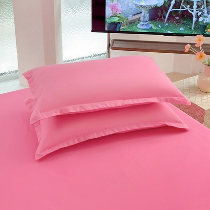 楠沐家纺 2025年新款芦荟棉柔软亲肤纯色枕套 玖红