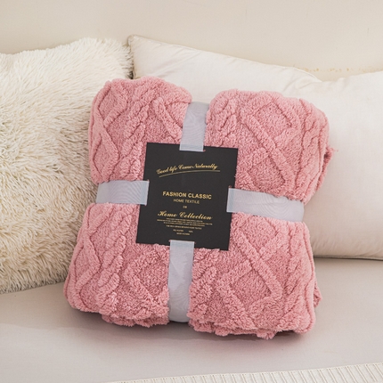 91家纺网 家纺一手货源 找家纺 丹本家纺 2025新款塔肤绒双面提花加厚毛毯盖毯 豆沙