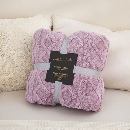 91家纺网 家纺一手货源 找家纺 （总）丹本家纺 2025新款塔肤绒双面提花加厚毛毯盖毯