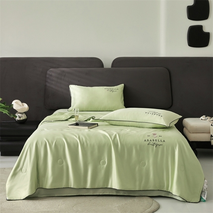 91家纺网 家纺一手货源 找家纺 （总）头等舱 2025新款奥地利60SA类兰精天丝55%植物大豆抗菌夏被（配包装）