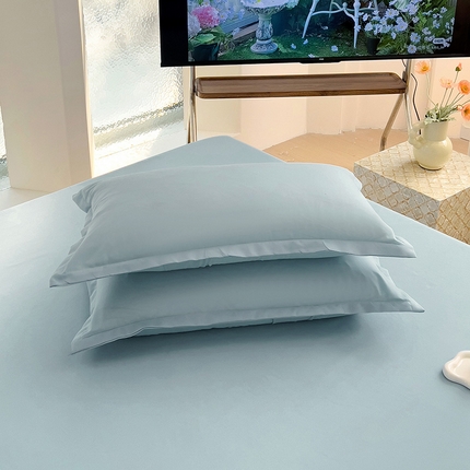 楠沐家纺 2025年新款芦荟棉柔软亲肤纯色枕套 浅灰