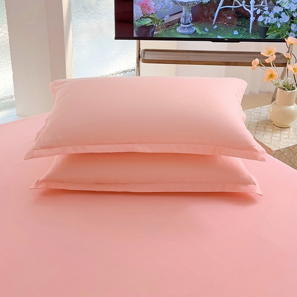 楠沐家纺 2025年新款芦荟棉柔软亲肤纯色枕套 浅玉