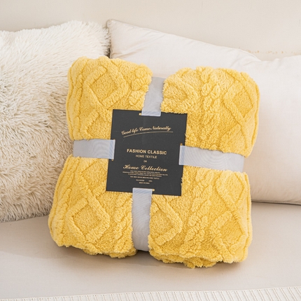 91家纺网 家纺一手货源 找家纺 （总）丹本家纺 2025新款塔肤绒双面提花加厚毛毯盖毯