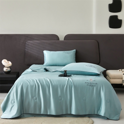 91家纺网 家纺一手货源 找家纺 （总）头等舱 2025新款奥地利60SA类兰精天丝55%植物大豆抗菌夏被（配包装）