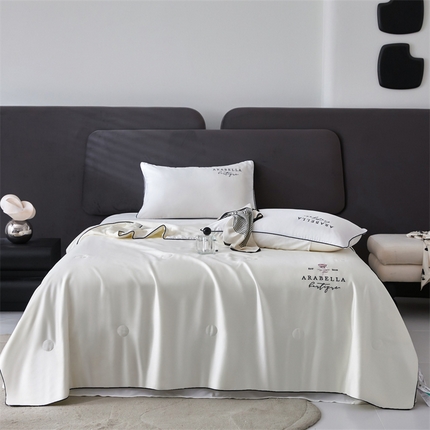 91家纺网 家纺一手货源 找家纺 头等舱 2025新款奥地利60SA类兰精天丝55%植物大豆抗菌夏被 艾露-高贵白