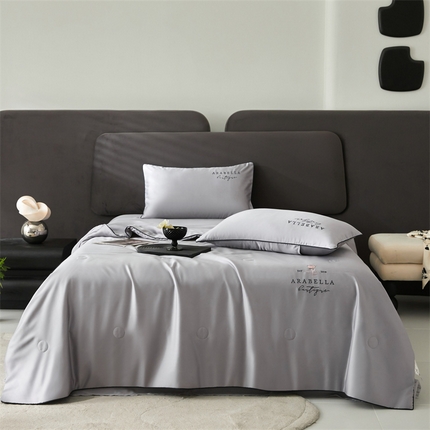 91家纺网 家纺一手货源 找家纺 头等舱 2025新款奥地利60SA类兰精天丝55%植物大豆抗菌夏被 艾露-泰勒灰