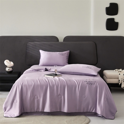 91家纺网 家纺一手货源 找家纺 头等舱 2025新款奥地利60SA类兰精天丝55%植物大豆抗菌夏被 艾露-星空紫