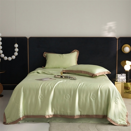 91家纺网 家纺一手货源 找家纺 头等舱 2025新款奥地利A类60S兰精天丝20%桑蚕丝抗菌夏被（配无纺布包装） 若草绿