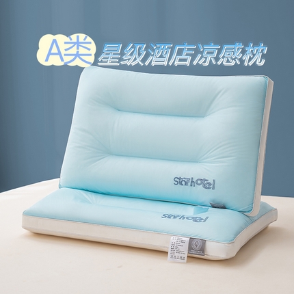 （总）贵夫人 2024新款A类凉感星级酒店枕枕头枕芯-经典版