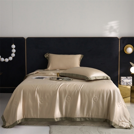 91家纺网 家纺一手货源 找家纺 头等舱 2025新款奥地利A类60S兰精天丝20%桑蚕丝抗菌夏被（配无纺布包装） 香槟驼