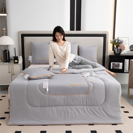 （总）照世 2024新款凉感丝轻奢抱枕被