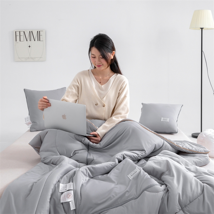 91家纺网 家纺一手货源 找家纺 照世 2024新款凉感丝贴布绣抱枕被 天空灰