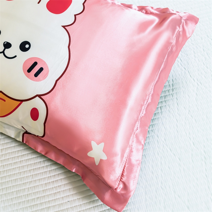 91家纺网 家纺一手货源 找家纺 梦舒羽2025新款可水洗冰丝双人枕套凉爽枕头套枕芯套 小兔叽