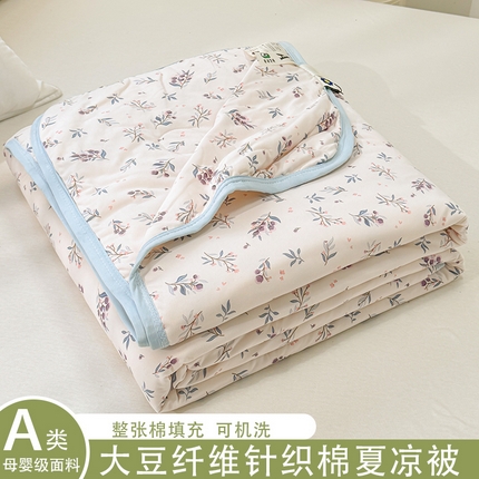 91家纺网 家纺一手货源 找家纺 （总）葡萄家 2025新款A类母婴级大豆纤维牛奶丝针织棉夏凉被（提供买家秀）